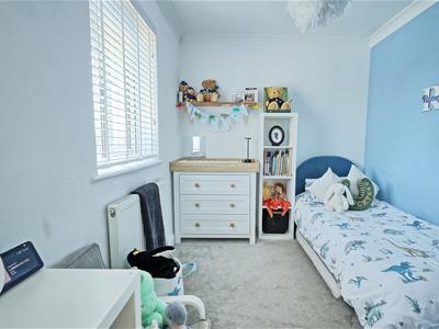 Picture 14